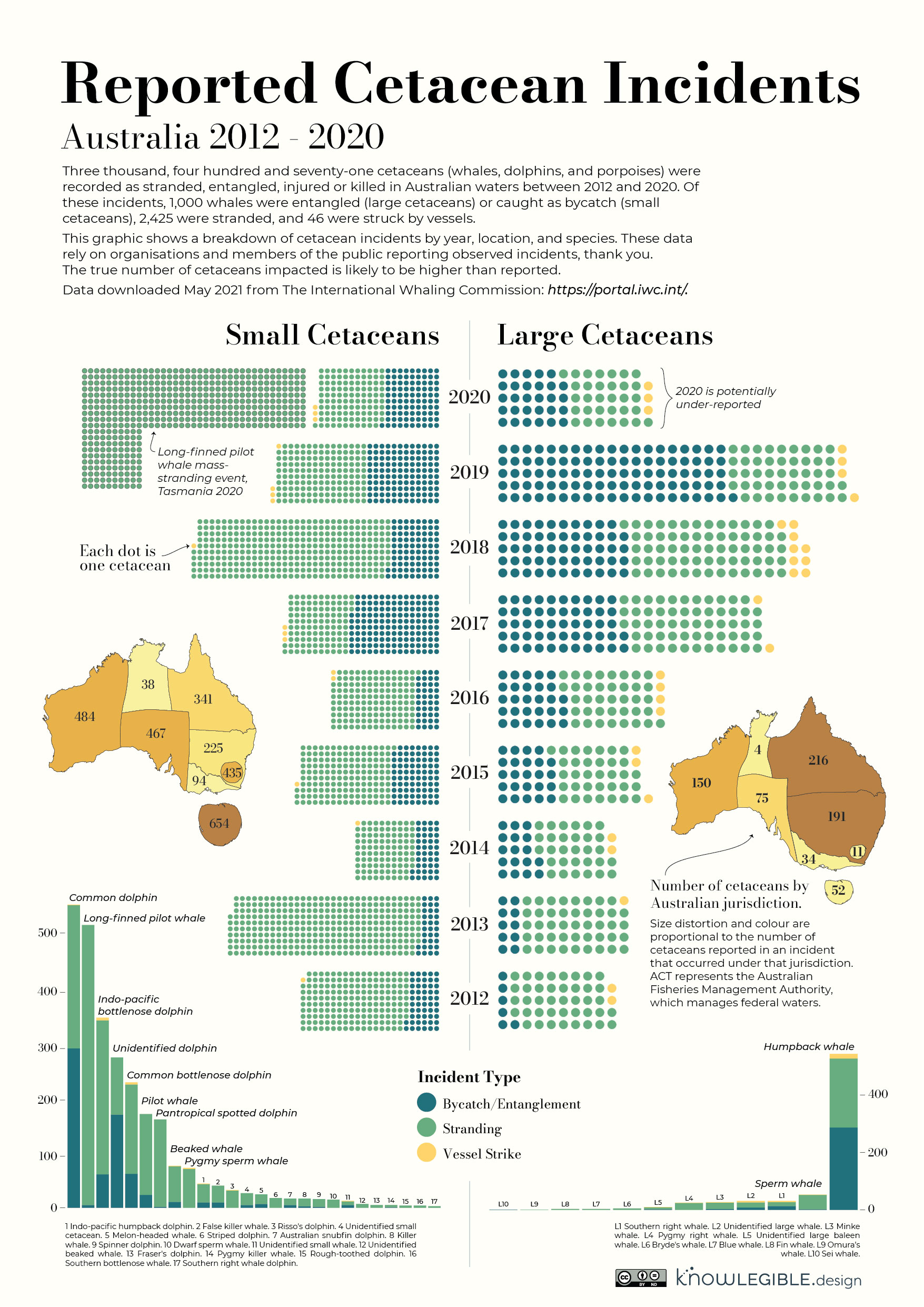 Inforgraphic showing the reported whale incidents in Australia between 2012 and 2020